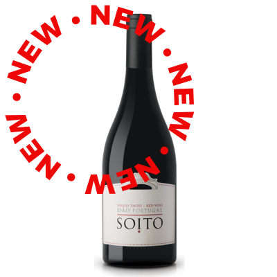 Soito Red