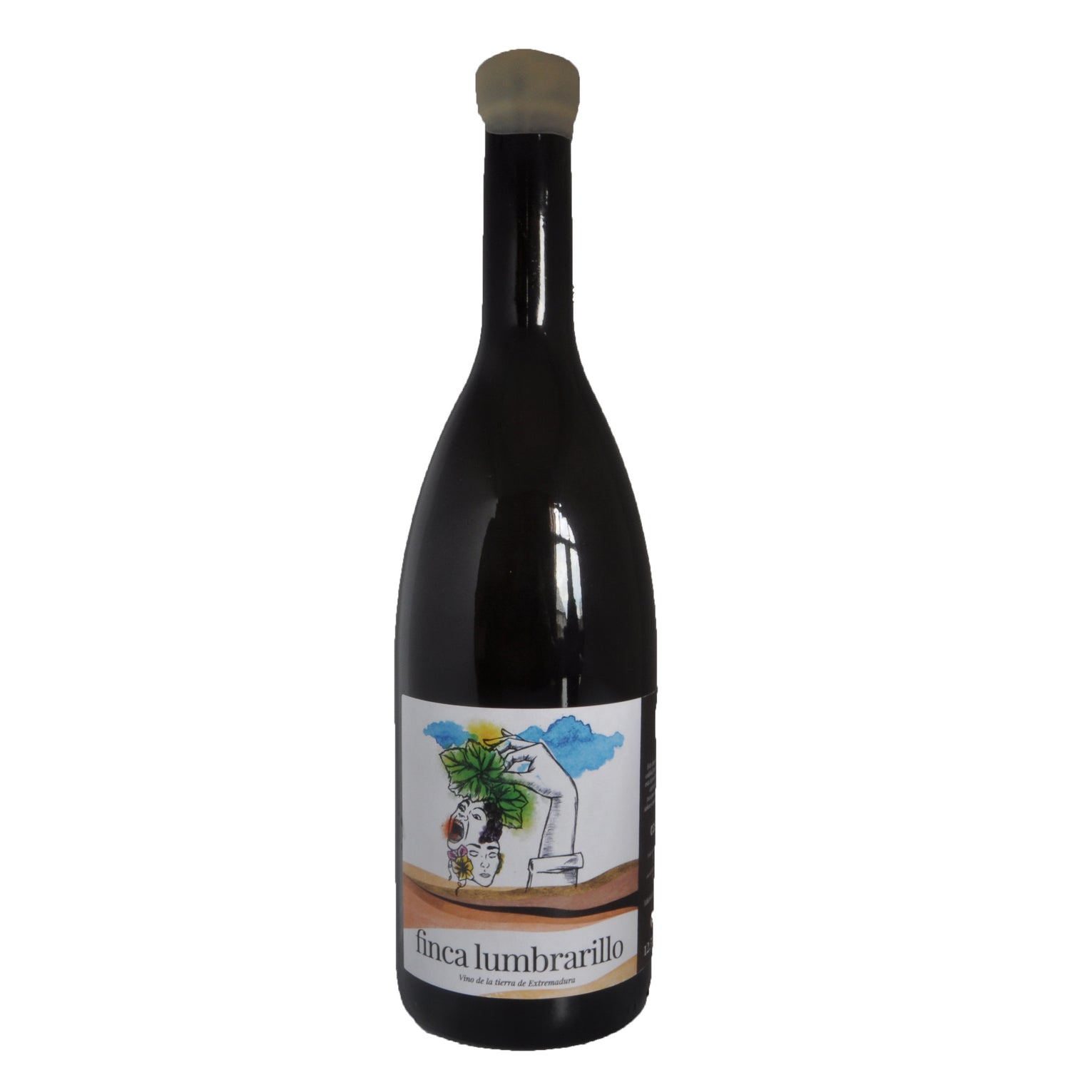 Finca Lumbrarillo